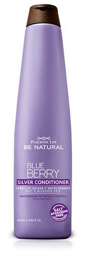 Blueberry Silver Conditioner 350 ml