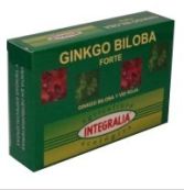 Ginkgo Biloba Forte Eco 60 Capsules