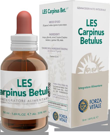 Carpinus Betulus Hornbeam 50 ml