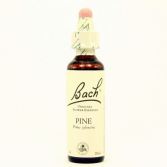 Bach 24 Pine 20 ml