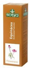 Eqhinacea Extract 50 ml